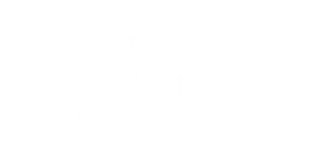 Fetcher Dog